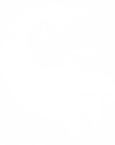 owls-white
